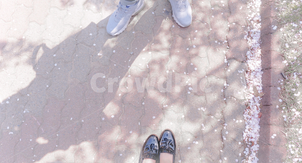 발,신발,그림자,벚꽃,운동화,구두,바닥,꽃잎,봄,계절,spring,season,사람,인물,인간,human,person,신체일부,몸,body