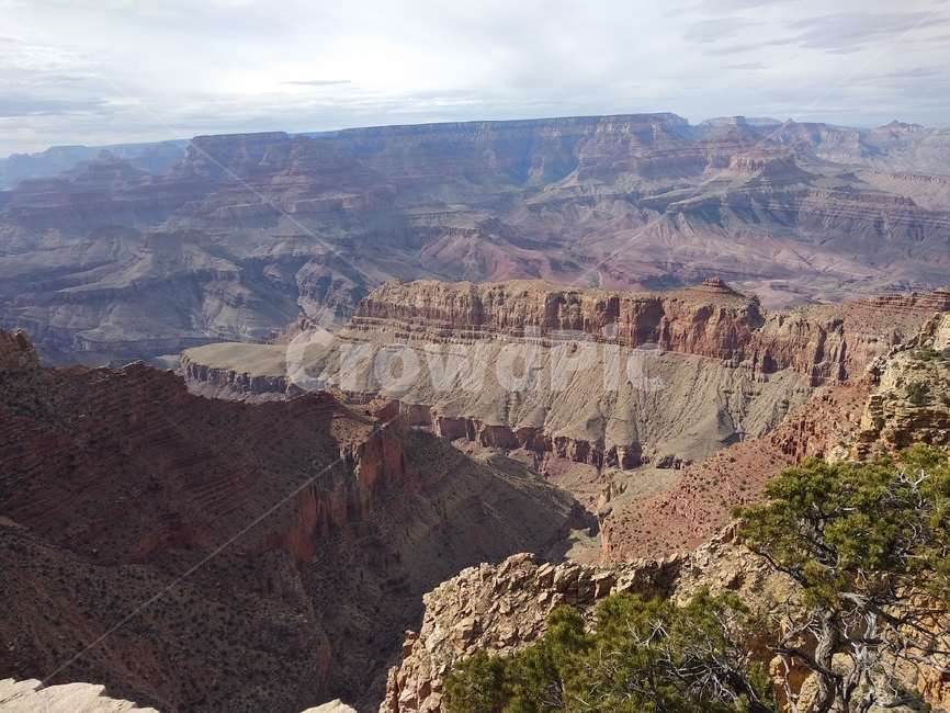 숲,산맥,대자연,풍경,그랜드캐년,그랜드캐니언,grandcanyon,자연,풍경,nature,landscape,해외,외국,세계,foreign,oversea,world,세계자연풍경,해외자연풍경,외국자연풍경,world nature landscape,outdoors,옥외,mountain,산