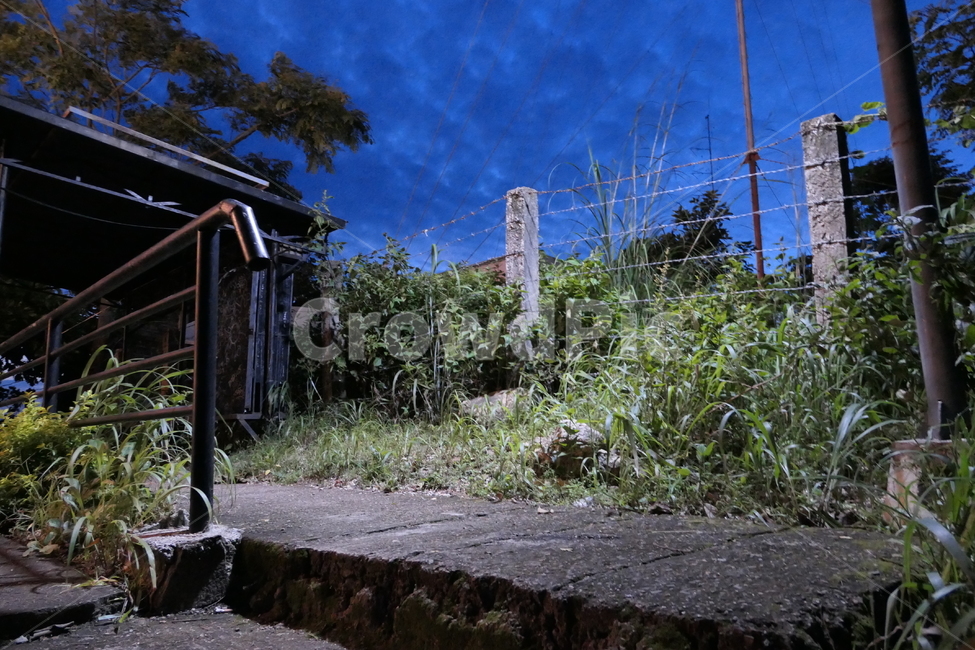 필리핀,팔라완,시골,야경,시골풍경,자연,풍경,nature,landscape,야경,밤,nightscape,night