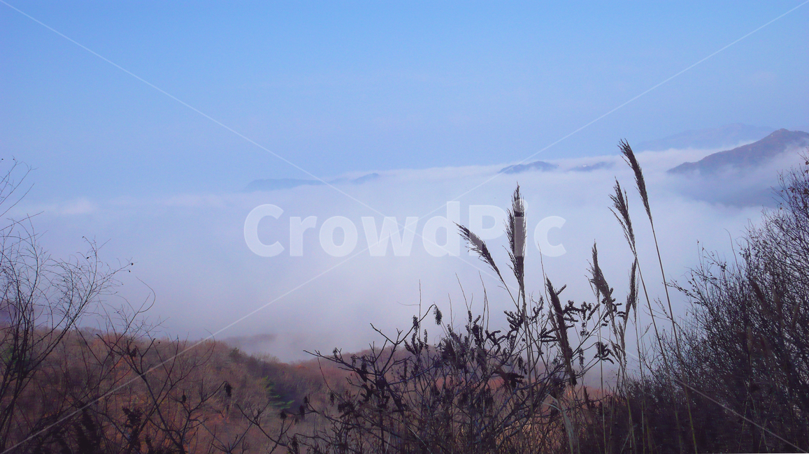 구름,갈대,자연,산,하늘,grass,plant,식물,lawn,자연,풍경,nature,landscape