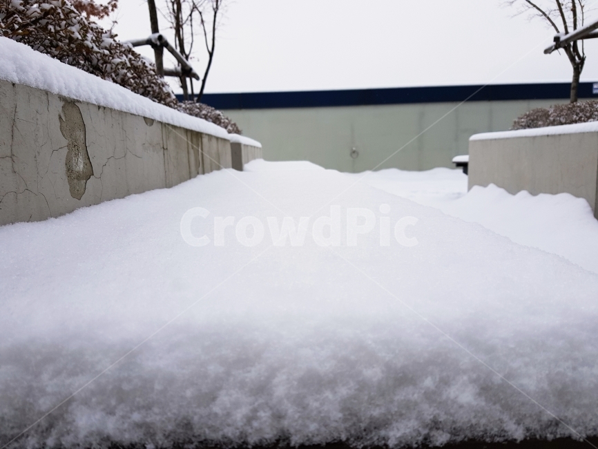 겨울,눈,벤치,풍경,자연,추위,설원,흰색,야외,의자,12월,계절,겨울,계절,winter,season