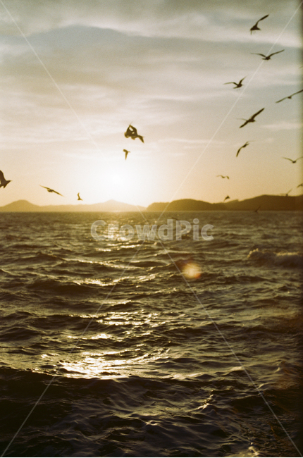 노을,풍경,해질녘,바다,오후,선셋,sunset,붉은하늘,구름,낭만,따듯,warm,sea,파도,자연,nature,landscape,갈메기,필름,감성,일몰