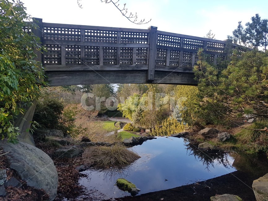 공원,다리,자연,park,bridge
