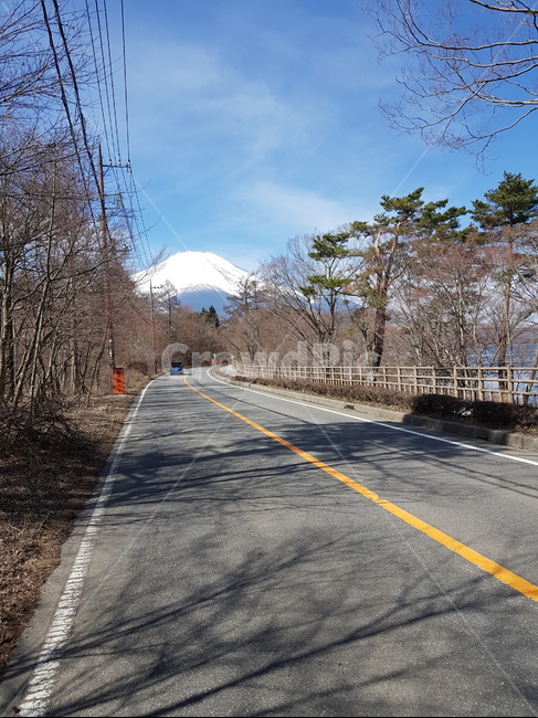 후지산,눈덮힌후지산,후지산눈,겨울후지산,가로수,도로,눈덮힌산,산,겨울산,파란하늘,맑은하늘,하늘,나무