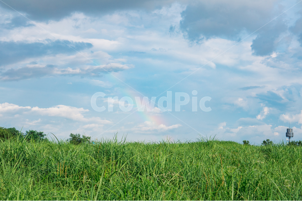 하늘,무지개,구름,풍경,레인보우,하늘공원,자연,풍경,nature,landscape,outdoors,옥외,field,들,grassland,목초지