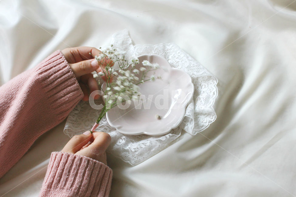 손,꽃,안개꽃,분홍,감성사진,그릇,분홍색,하얀색,pink,white,flower,flowers,레이스,접시,hand,꽃,flower,사람,인물,인간,human,person,신체일부,몸,body,연출,컨셉,콘셉,direction,concept