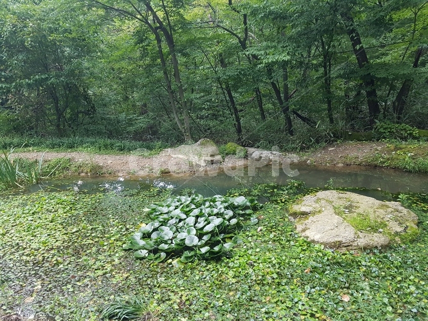우물,자연,nature,water,배경,자연,풍경,nature,landscape,물,outdoors,옥외,land,땅