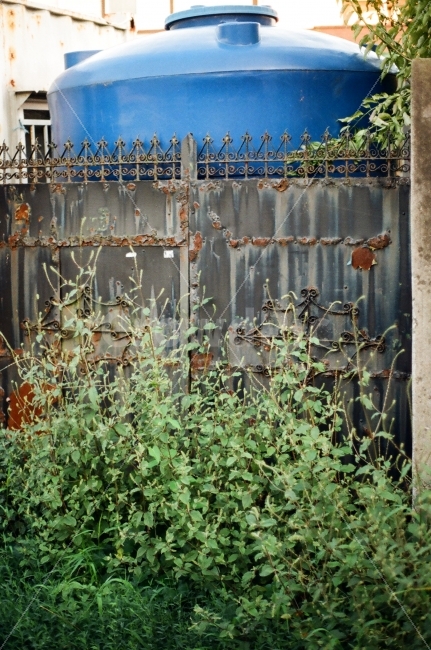동네,골목,문,입구,대문,정화조,식물,자연,plants,nature,빈티지사진,빈티지느낌,빈티지감성,vintage,건축물,건물외관,exterior,building,structure,architecture,construction