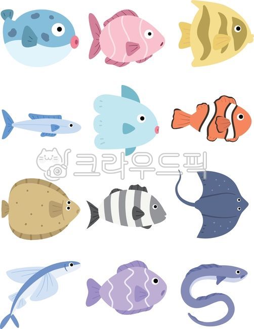 물고기,해양생물,바다물고기,물고기일러스트,귀여운물고기,수산물,복어,열대어,멸치,고등어,개복치,니모,가자미,돌돔,가오리,날치,장어,뱀장어,바다