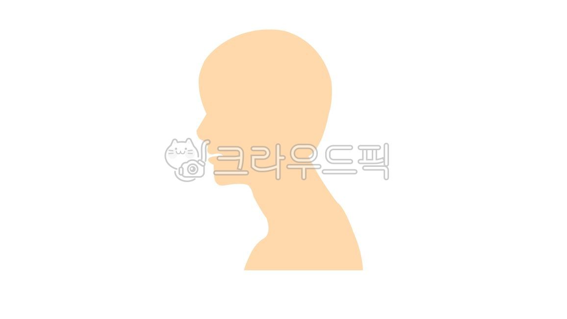 목,일자목,거북목,목디스크,사람머리,머리,두상,얼굴