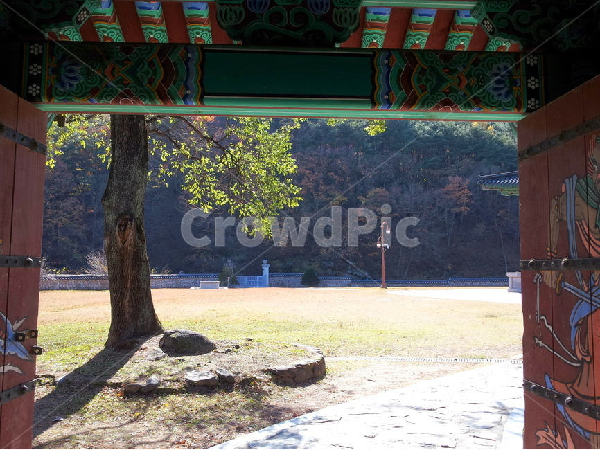 고건축,문화재,사찰,단청,문양,단청무늬,목조건물,청색,백색,자색,황색,흑색,목조건축,사원,배경,배경이미지,배경화면,종교,직지사,한국전통,한국문화,korean traditional,korean culture,건축물,건물외관,exterior,building,structure,architecture,construction