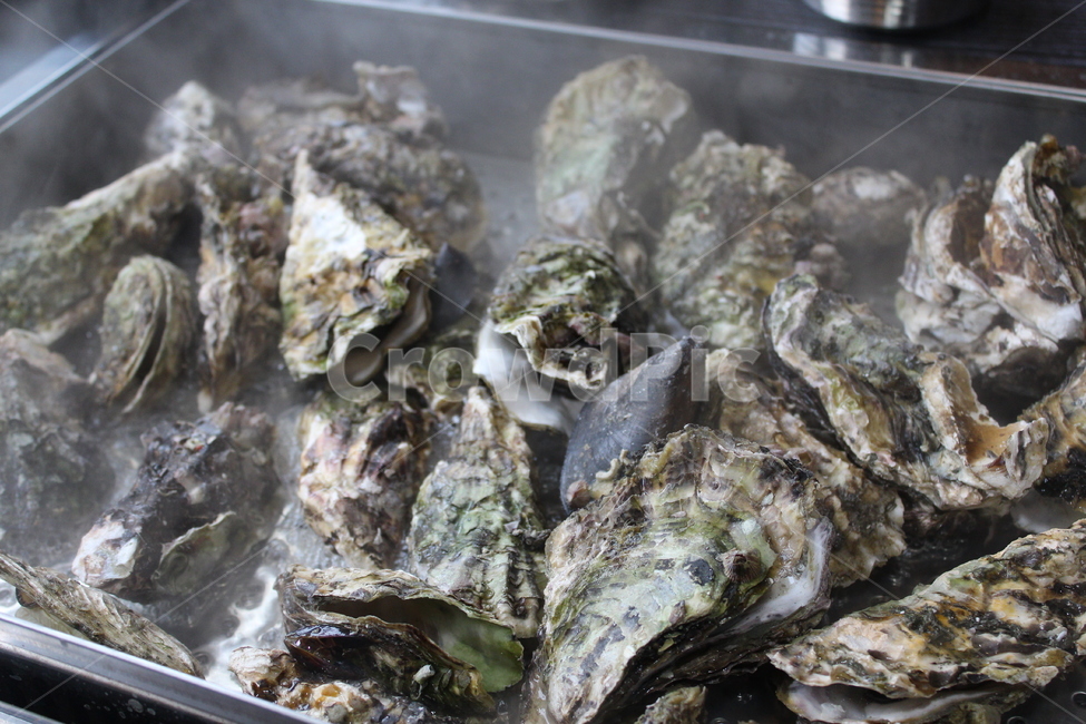 굴,석화,오이스터,생굴,굴찜