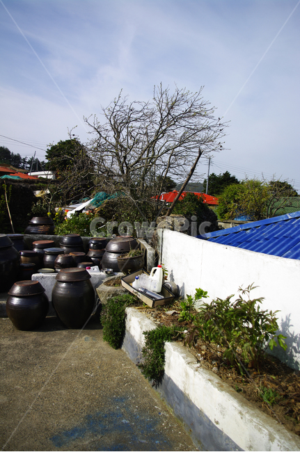집,시골,농촌,나무,장독대,항아리,시골,마을,풍경,landscape,country,rural,town