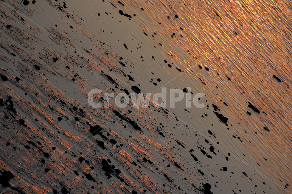 갯벌,돌,황혼,sunset,바닷가,자연,풍경,nature,landscape,animal,동물,flock,대군