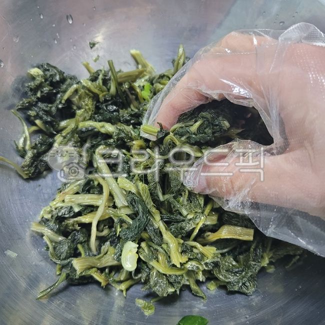 곤드레나물,나물,요리,cooking,food,음식,무침,무침요리,한식