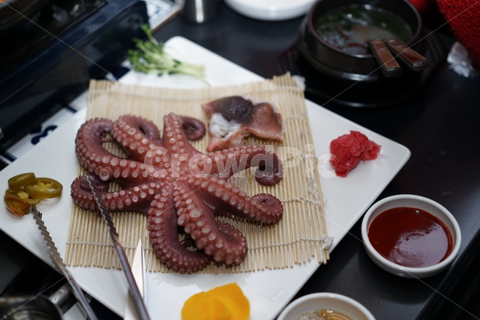 	안주,먹방,문어,해산물,문어숙회,술안주,회,먹거리,음식,푸드,씨푸드,시푸드,술자리,식감,소주안주,안주거리,안줏거리,빨판,통문어,음식,식재료,요리,food,cook,meal,dishes,food reserves,수산물,해산물,fishery products,seafood
