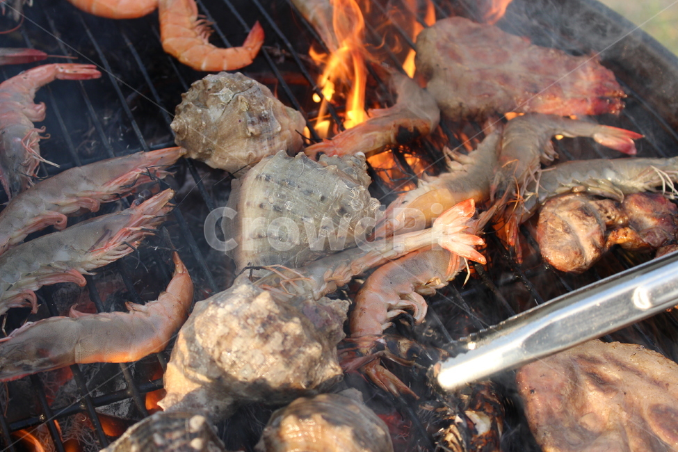 캠핑,해산물,소라,새우,구이,음식,식재료,요리,food,cook,meal,dishes,food reserves,수산물,해산물,fishery products,seafood