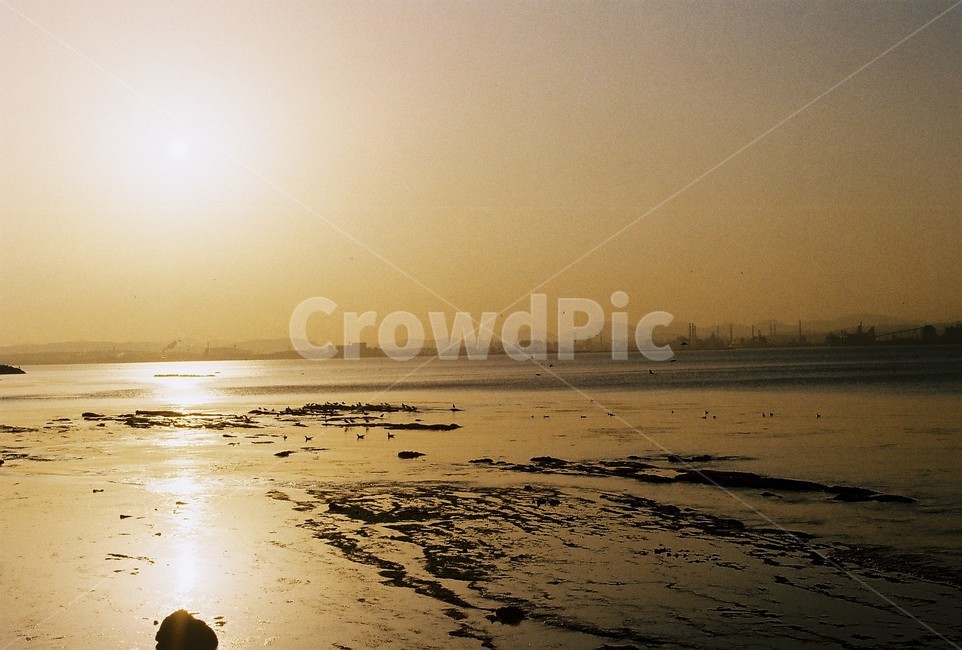필름,필름카메라,아날로그,analog,filmcamera,film,감성,감성사진,바다,노을,landscape,자연,풍경,nature,landscape,해변,바다,beach,sea,light,빛,flare,플레어