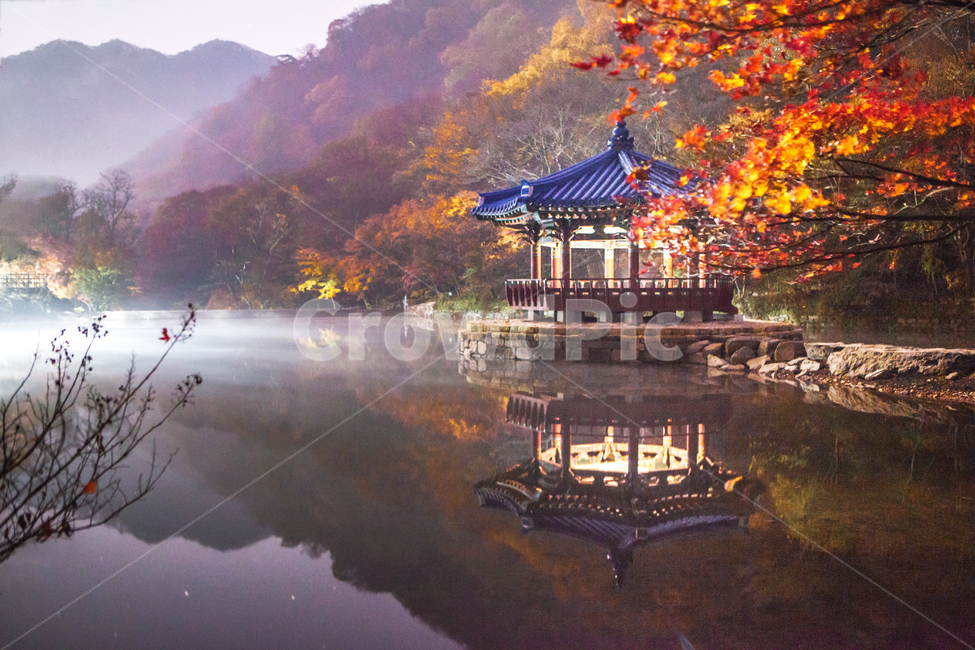 단풍,정자,누각,배경,가을,산,호수,연못,물안개,새벽,아침,단풍나무,반영,안개,내장산,내장사,가을색,가을,계절,fall,autumn,season,자연,풍경,nature,landscape,한국자연풍경,한국자연경관,korea nature landscape