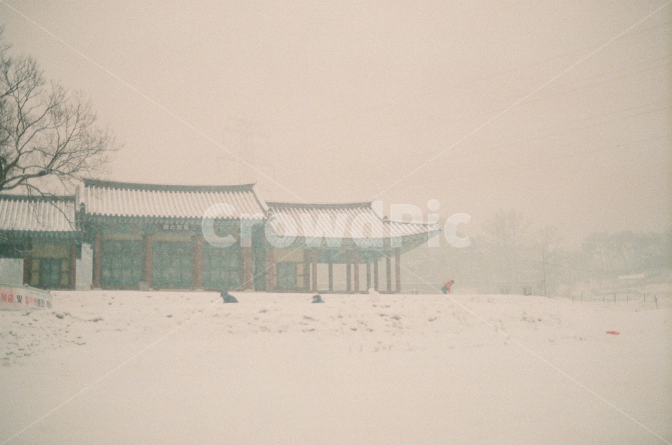 전통적인,한국,관아지,대한민국,눈,겨울,나무,필름사진,포근한,한옥,전통,마을,하늘,풍경,자연,감성사진,korea,snow,winter,film,tradition,sky,겨울,계절,winter,season,한국전통,한국문화,korean traditional,korean culture,랜드마크,landmark,tourist attraction,한국랜드마크,한국관광지,한국명소,korea landmark,korea tourist attraction,건축물,건물외관,exterior,building,structure,architecture,construction
