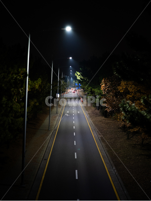 도로,야경,자동차,고요함,가로등,1차선도로,1차선