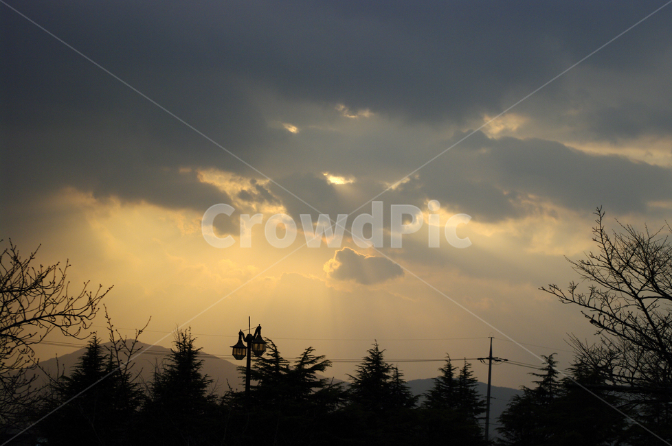 하늘,노을,나무,그림자,sunset,구름,빛내림,자연,풍경,nature,landscape,tree,plant,식물,fir,전나무