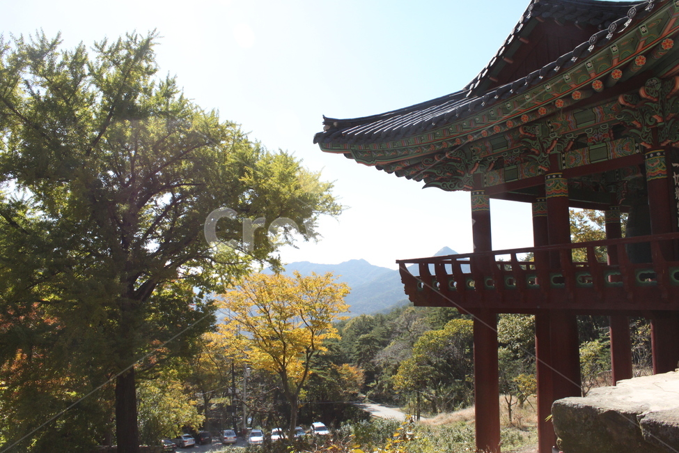 한옥처마,숲속의한옥,단풍,산속,풍경,한국전통,한국문화,korean traditional,korean culture,건축물,건물외관,exterior,building,structure,architecture,construction