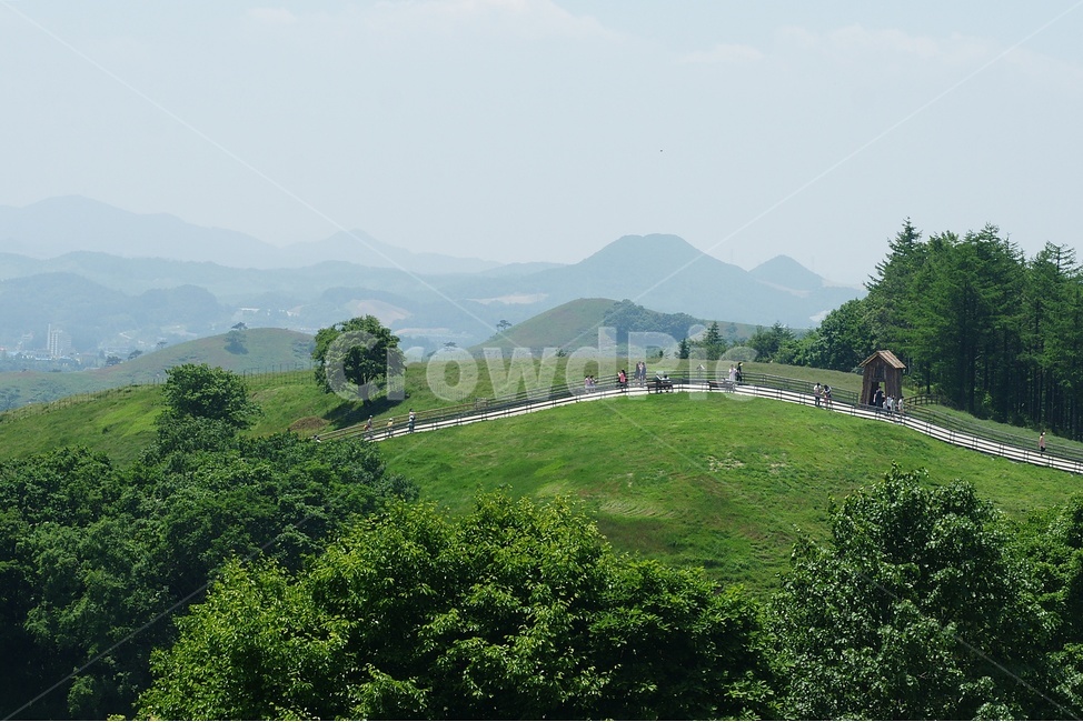 목장,경치,풍경,여름,초록,자연,풍경,nature,landscape,outdoors,옥외,field,들,grassland,목초지