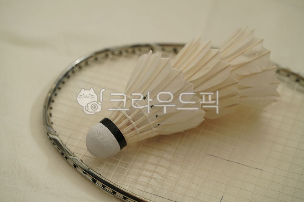 shuttlecock,feather,work out,White,sports,Badminton,equipment,badminton,hobby
