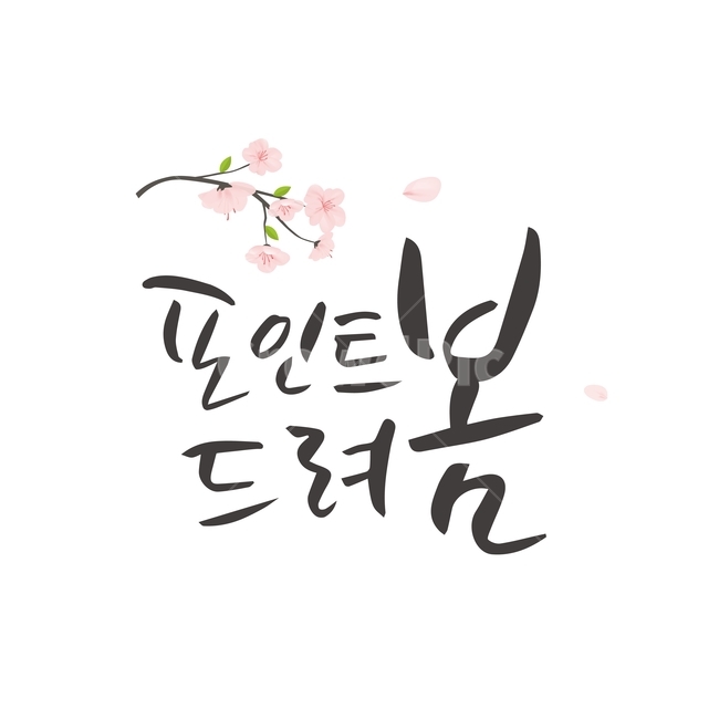 봄,꽃,식물,캘리그라피,손글씨,붓글씨,캘리,봄,계절,spring,season,누끼,remove background,캘리그라피,손글씨,calligraphy