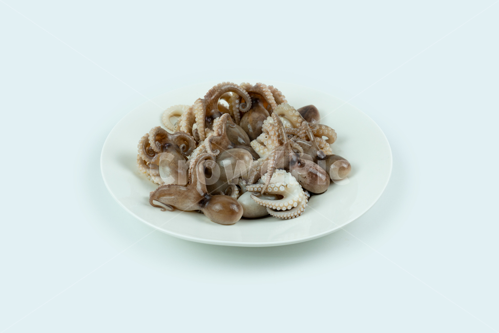 해산물,해물,낙지,주꾸미,요리재료,음식재료,어류,동물,해양생물,문어,싱싱한,신선한,요리,음식,식품,누끼
