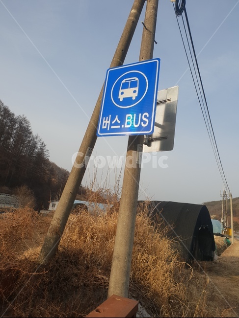 버스,정류장,시골,bus,촌