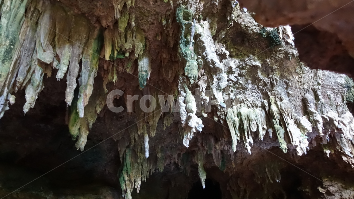 자연,nature,cave,grotto,동굴,초록,green,오르텐스,오르텐스동굴,뉴칼레도니아