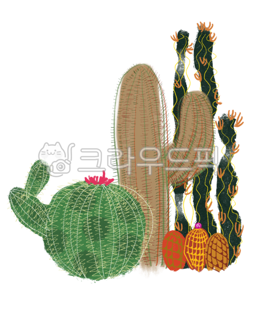 palm tree,plant illustration,Cactus,plant,tree,tree illustration,cactus illustration,palm tree illustration,ipad drawing