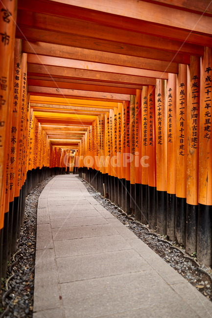 교토,후시미이나리신사,kyoto,fushimiinaritaishashrine,게이샤의추억,도리이,일본,japan,dorii,랜드마크,landmark,tourist attraction,해외,외국,세계,foreign,oversea,world,세계랜드마크,해외랜드마크,외국랜드마크,world landmark,world tourist attraction,종교,신앙,religion,belief,faith