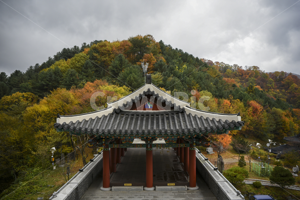 함양,오도재,단풍,가을,가을산,한국가을,단풍놀이