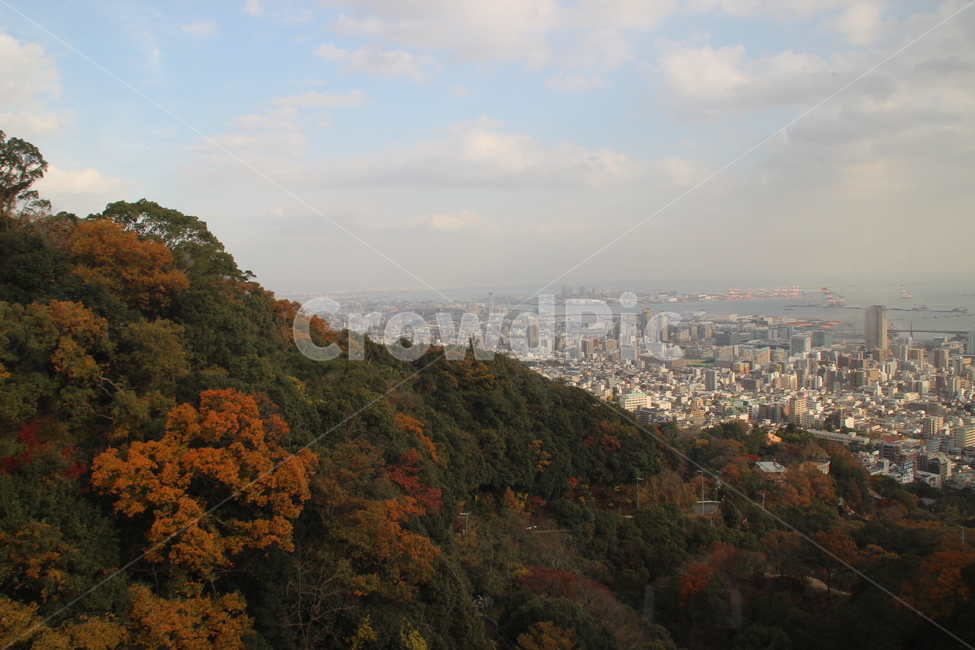 nature,자연,outdoors,옥외,scenery,풍경,가을,계절,fall,autumn,season,자연,풍경,nature,landscape