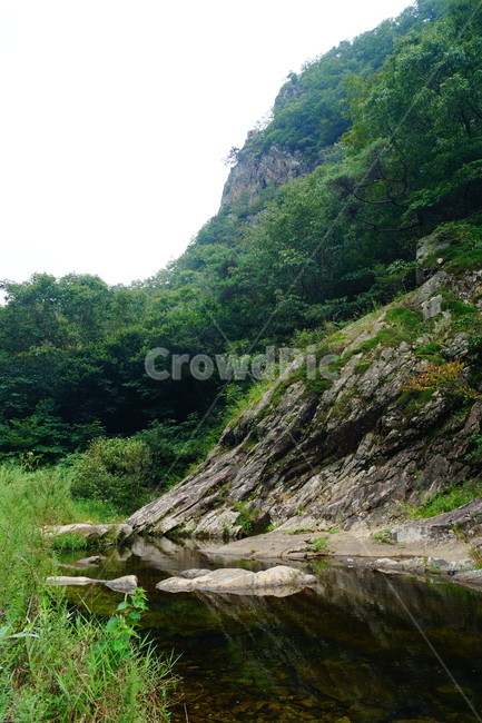 nature,자연,water,물,creek,작은만,stream,흐름,자연,풍경,nature,landscape,outdoors,옥외,작은 만