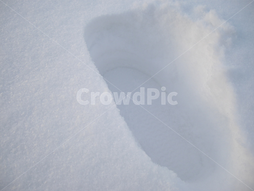 눈,폭설,겨울,winter,outdoor,snow,눈꽃,nature,자연,식물,plant,전나무,tree,옥외,발자국,눈밭,겨울,계절,winter,season