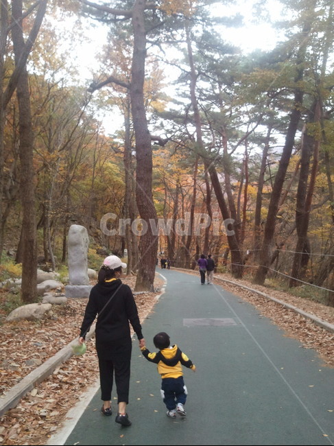 가을,fall,엄마,아기,산책