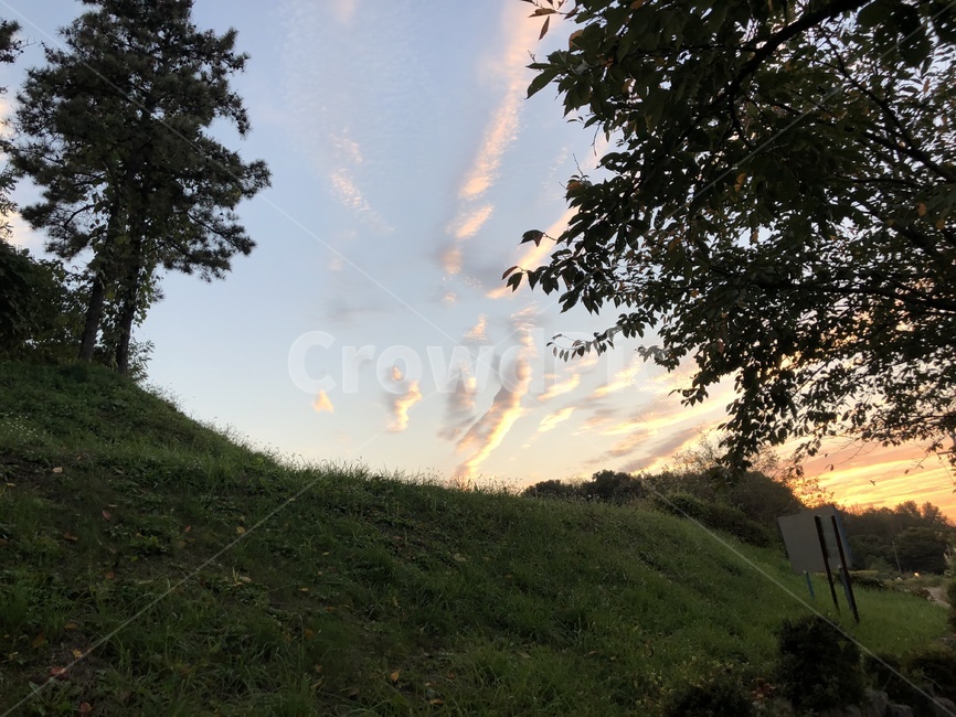 구름,나무,들판,자연,하늘,자연,풍경,nature,landscape,outdoors,옥외,plant,식물,tree,grassland,목초지,field,들