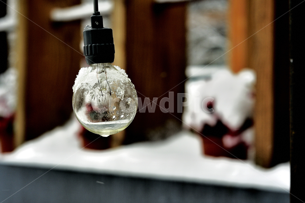 겨울,전구,winter,snow,눈,lightbulb