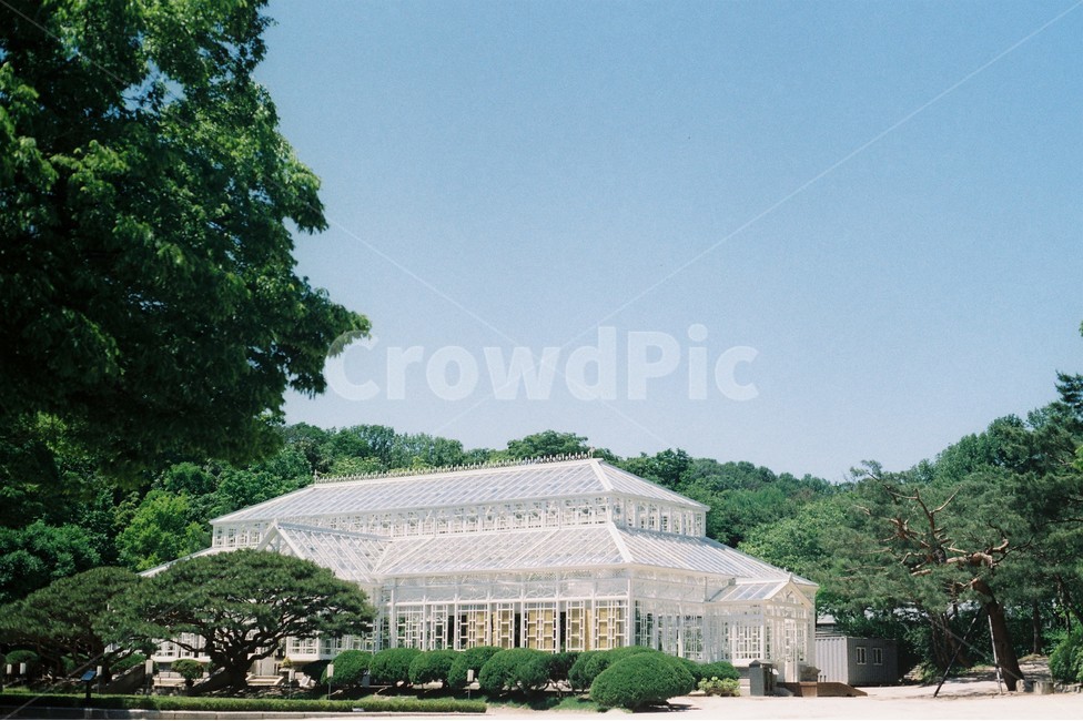 유리온실,창경궁유리온실,왕실정원,유리정원,창경궁,건축물,건물외관,exterior,building,structure,architecture,construction