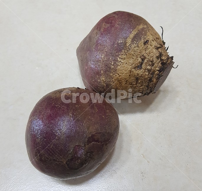 plant,식물,야채,채소,비트,레드비트,vegetable