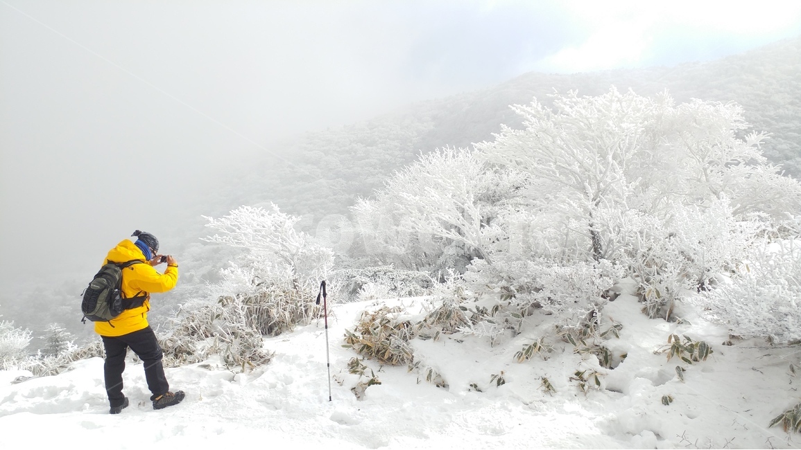 여행,설경,사진,촬영,등산,겨울산,설산,한라산,겨울,제주도,겨울,계절,winter,season,자연,풍경,nature,landscape,사람,인물,인간,human,person,outdoors,옥외