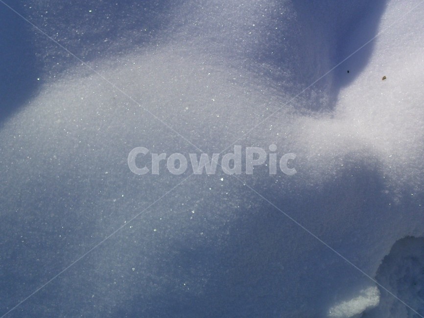 nature,자연,눈,snow,겨울눈,겨울,겨울,계절,winter,season