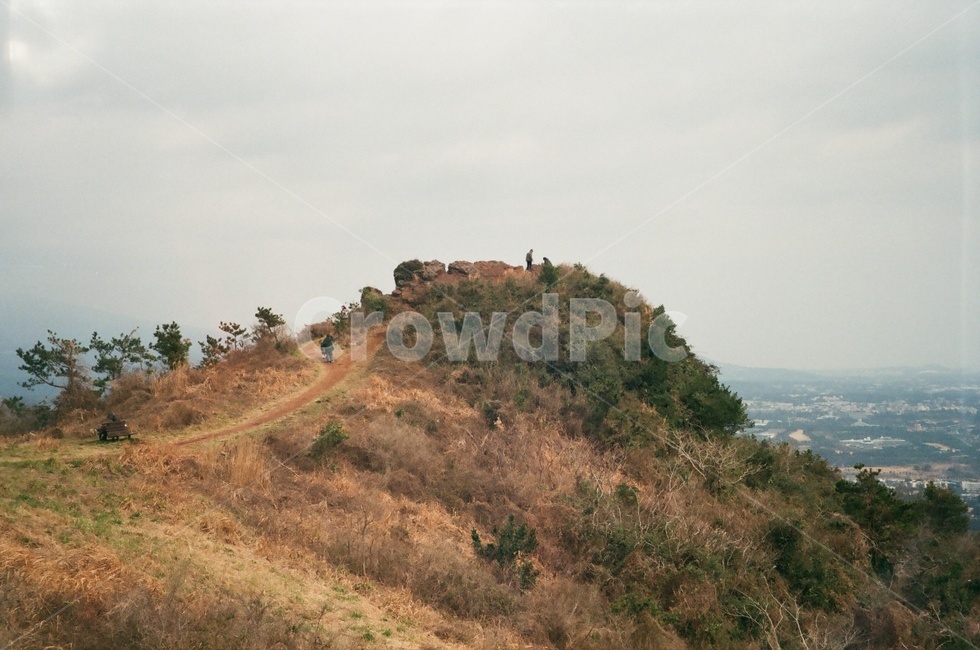 제주도,용눈이오름,오름,올레길,정상,산,산림욕,나무,필름,필카,필름카메라,jeju,jejudo,jejuisland,tree,자연,풍경,nature,landscape,한국자연풍경,한국자연경관,korea nature landscape,제주도,jeju,jeju island,outdoors,옥외,hill,언덕