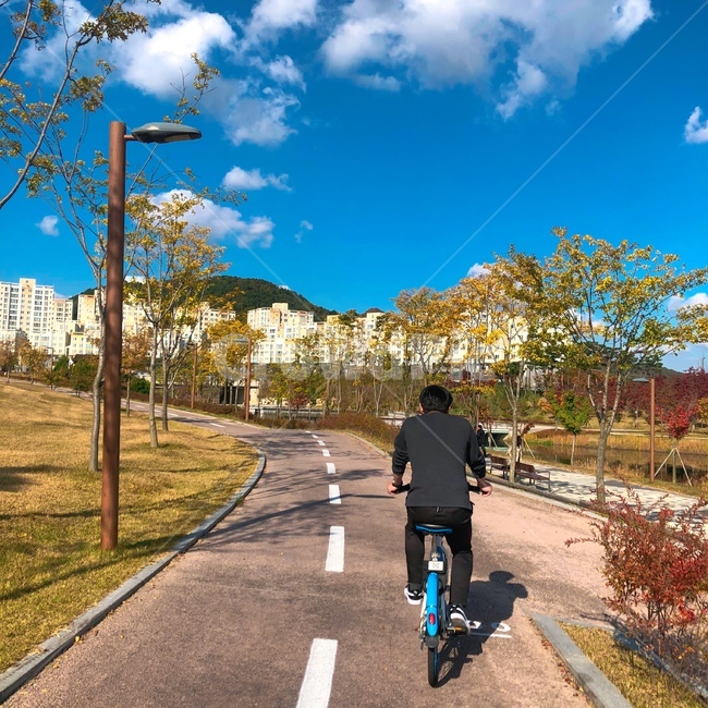 공원,산책,자전거,남자,하늘,사람,bicycle,vehicle,bike