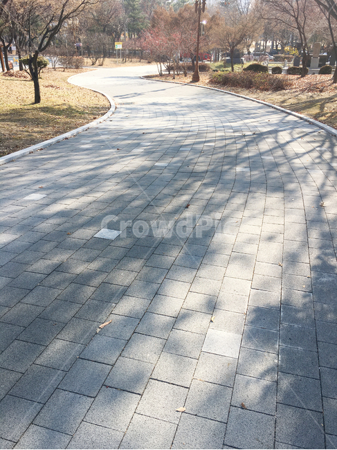 거리,street,보도블럭,sidewalkblock,보도,walkway,sidewalk,풍경,scenery,나무,tree,나무줄기,treetrunk,생활,life,공원,park,바닥,땅,ground,floor,flooring,통로,path,판석,flagstone,길,road,가로등,streetlamp,shadow,그림자