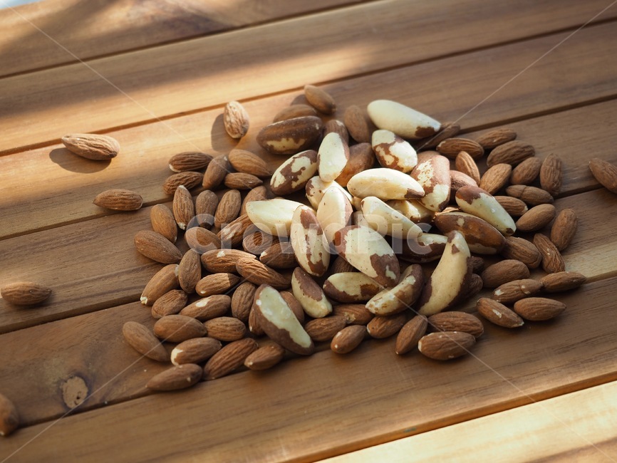 브라질너트,견과류,웰빙,음식,갈색,유기농,brazilnut,nuts,wellbeing,food,brown,organic,아몬드,너트,almond,nut,콩류,견과류,beans,pulse,nuts,dry fruits